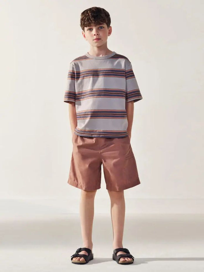 Boys Minimalist Grey Striped Tee And Brown Casual Shorts Set